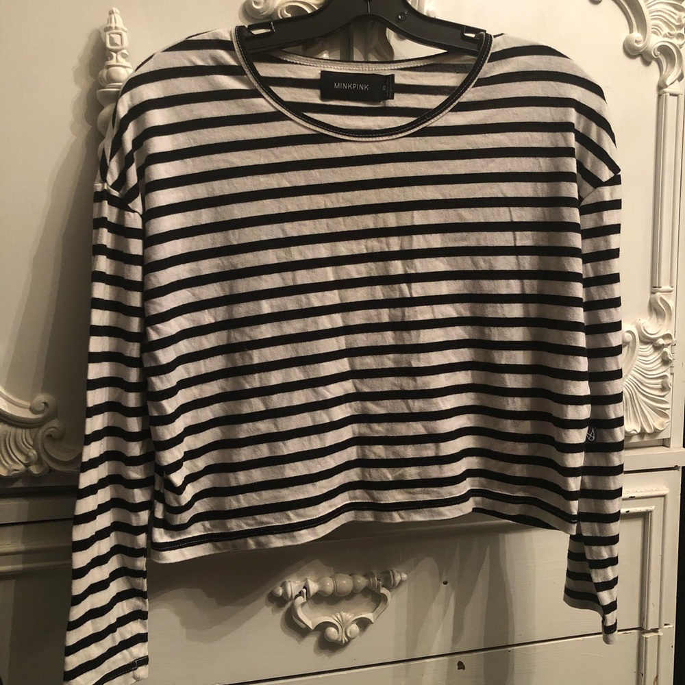 Minkpink striped crop